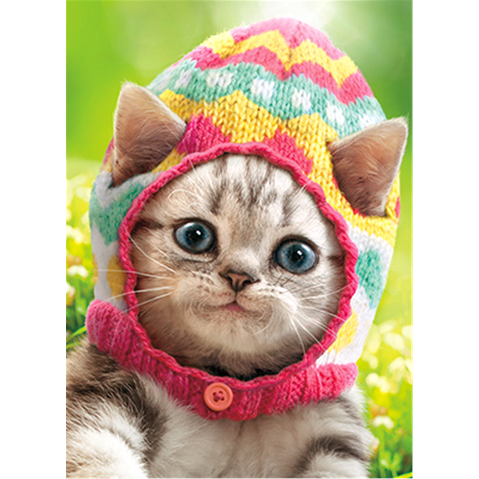 slide 1 of 1, AVANTI CARD EASTER Kitten Wears Knit Egg Cap, 1 ct
