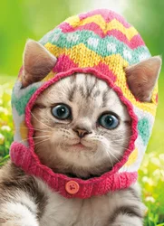 Avanti Card Easter Kitten Wears Knit Egg Cap