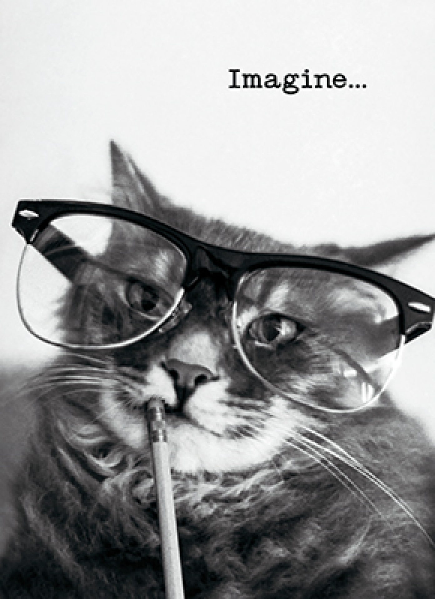 slide 1 of 1, Avanti Card Graduation Thinking Cat, 1 ct