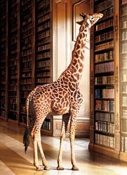 Avanti Press, I Giraffe At Library