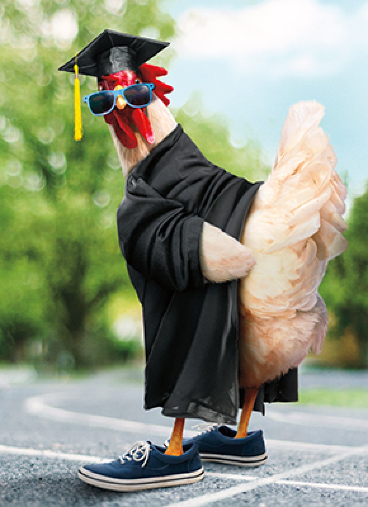 slide 1 of 1, Avanti Card Graduation Chicken Grad, 1 ct