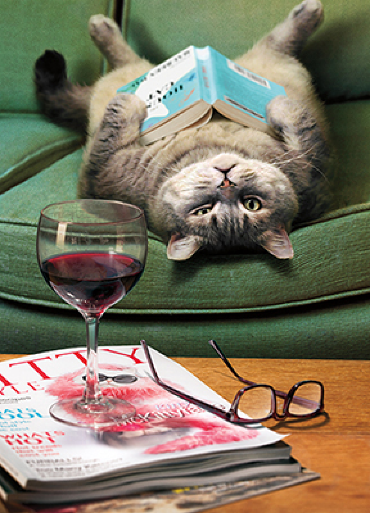 slide 1 of 1, Avanti Card Mothers Day Upside Down Cat Reading Book, 1 ct