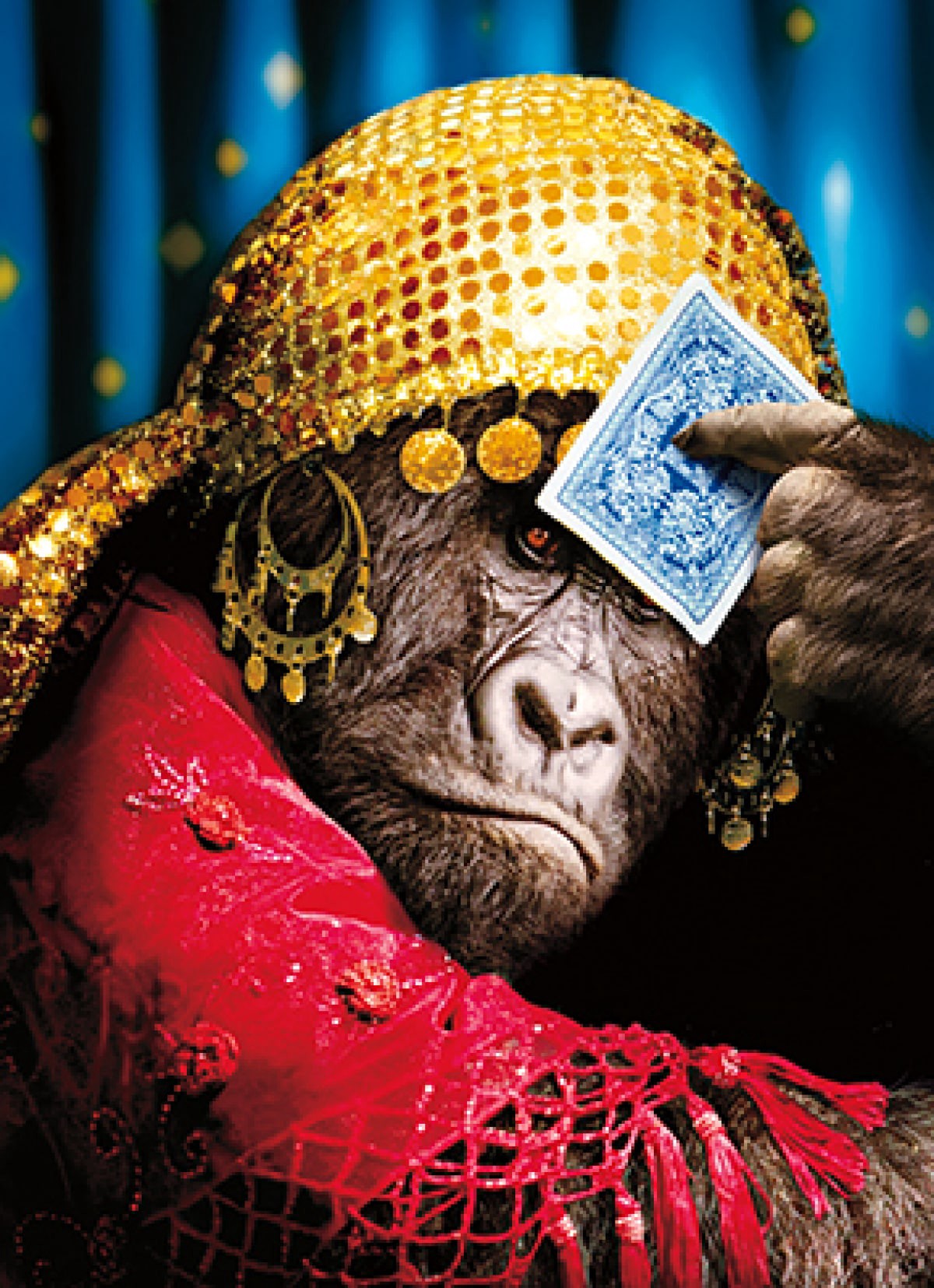 slide 1 of 1, Avanti Card Bday Fortune Telling Gorilla, 1 ct