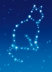 Avanti Card Pet Cat Constellation