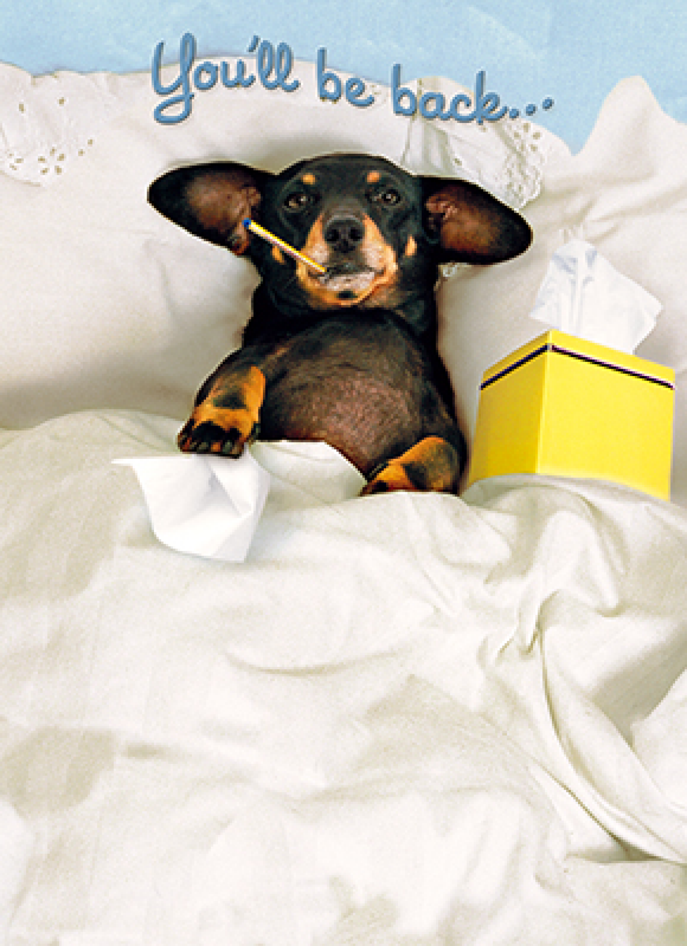 slide 1 of 1, Avanti Card Pet Dachshund In Bed, 1 ct