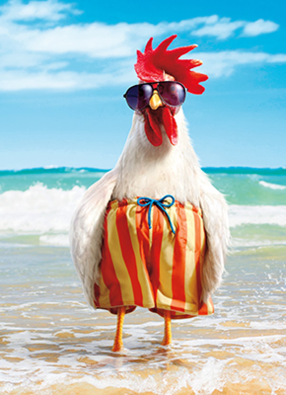 slide 1 of 1, Avanti Card Birthday Rooster Wears Swimsuit, 1 ct