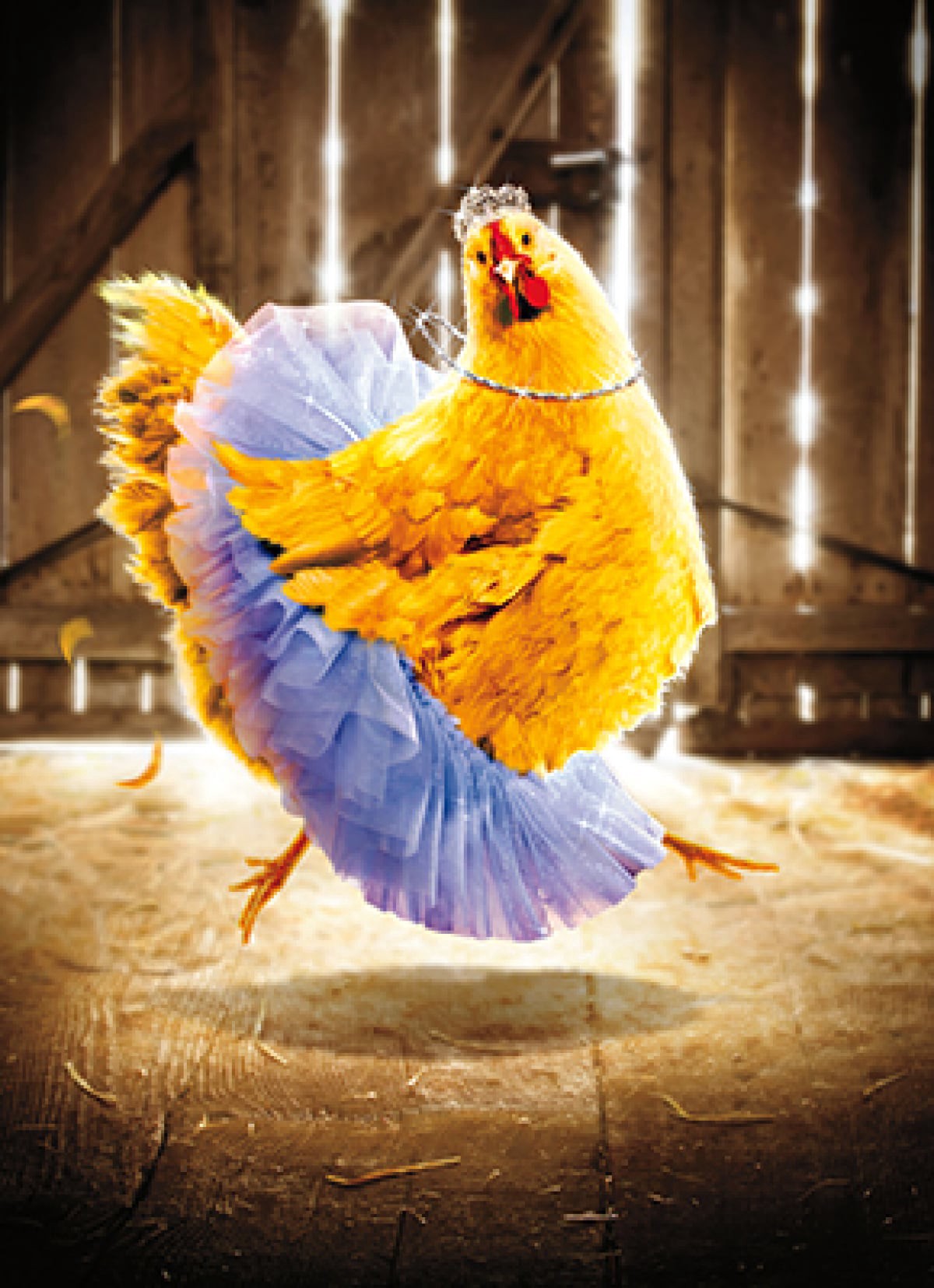 slide 1 of 1, Avanti Card Birthday Chicken BallerinA, 1 ct