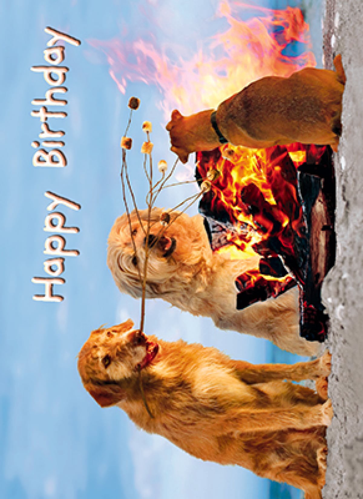 slide 1 of 1, Avanti Card Bday S'More Dogs Dogs Roast, 1 ct