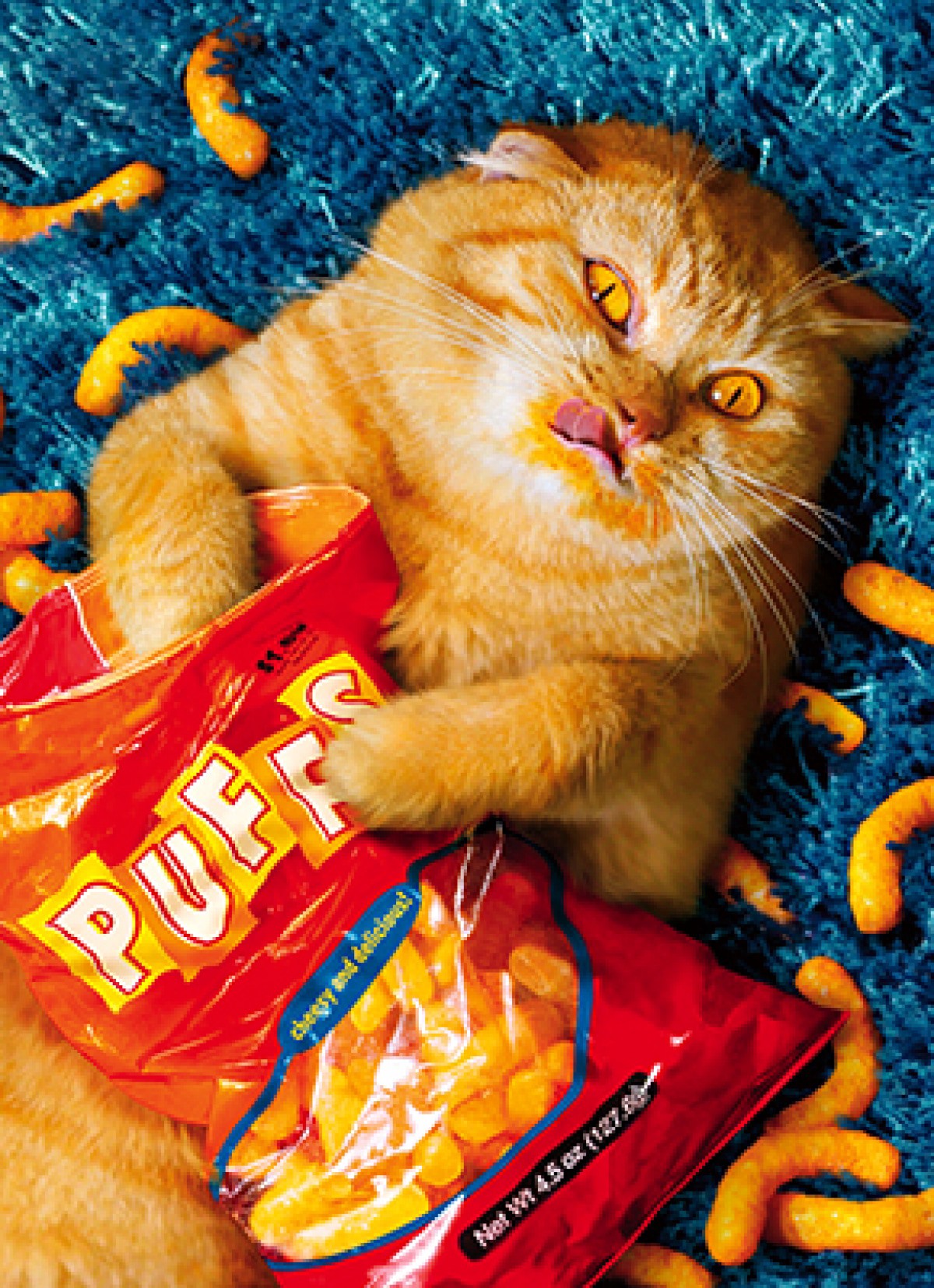 slide 1 of 1, Avanti Card Bday Cheese Puff Cat Standou, 1 ct