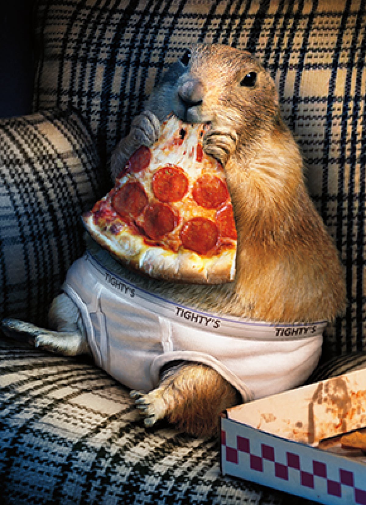 slide 1 of 1, Avanti Card Birthday Prairie Dog In Underwear, 1 ct