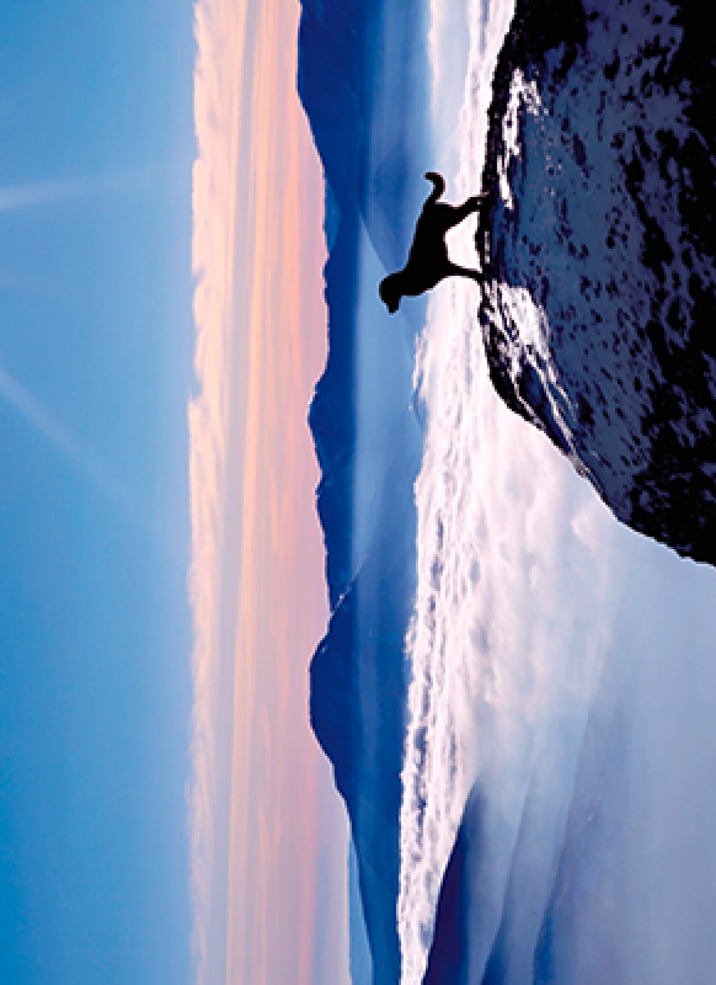 slide 1 of 1, Avanti Card Pet Dog On Mountain, 1 ct