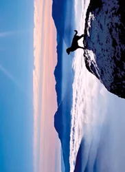 Avanti Card Pet Dog On Mountain