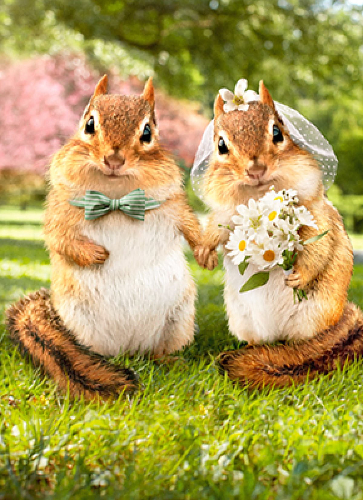 slide 1 of 1, Avanti Card Wedding Chipmunk Bride And G, 1 ct