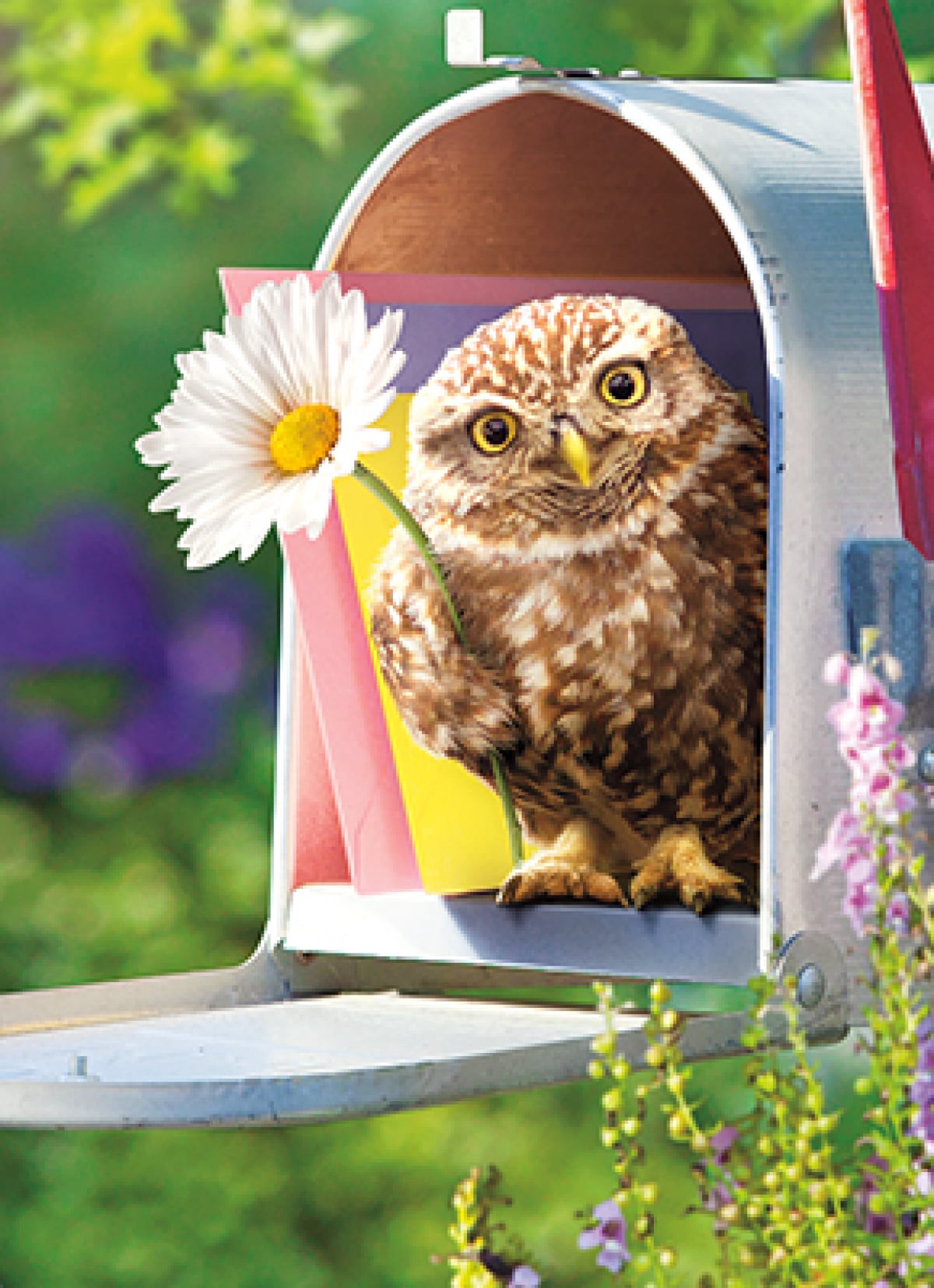 slide 1 of 1, Avanti Card Encourage Baby Owl In Mailbox, 1 ct