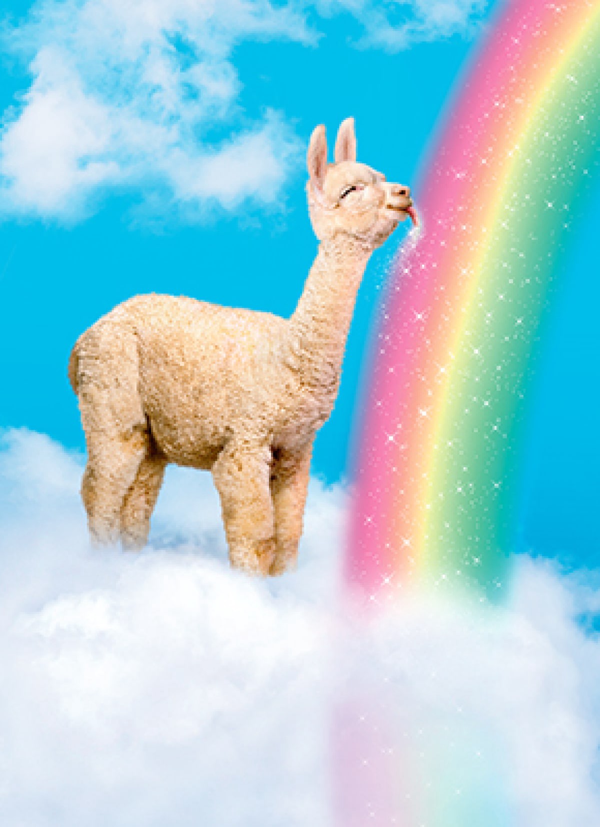 slide 1 of 1, Avanti Card Friend Llama Licks Rainbow, 1 ct