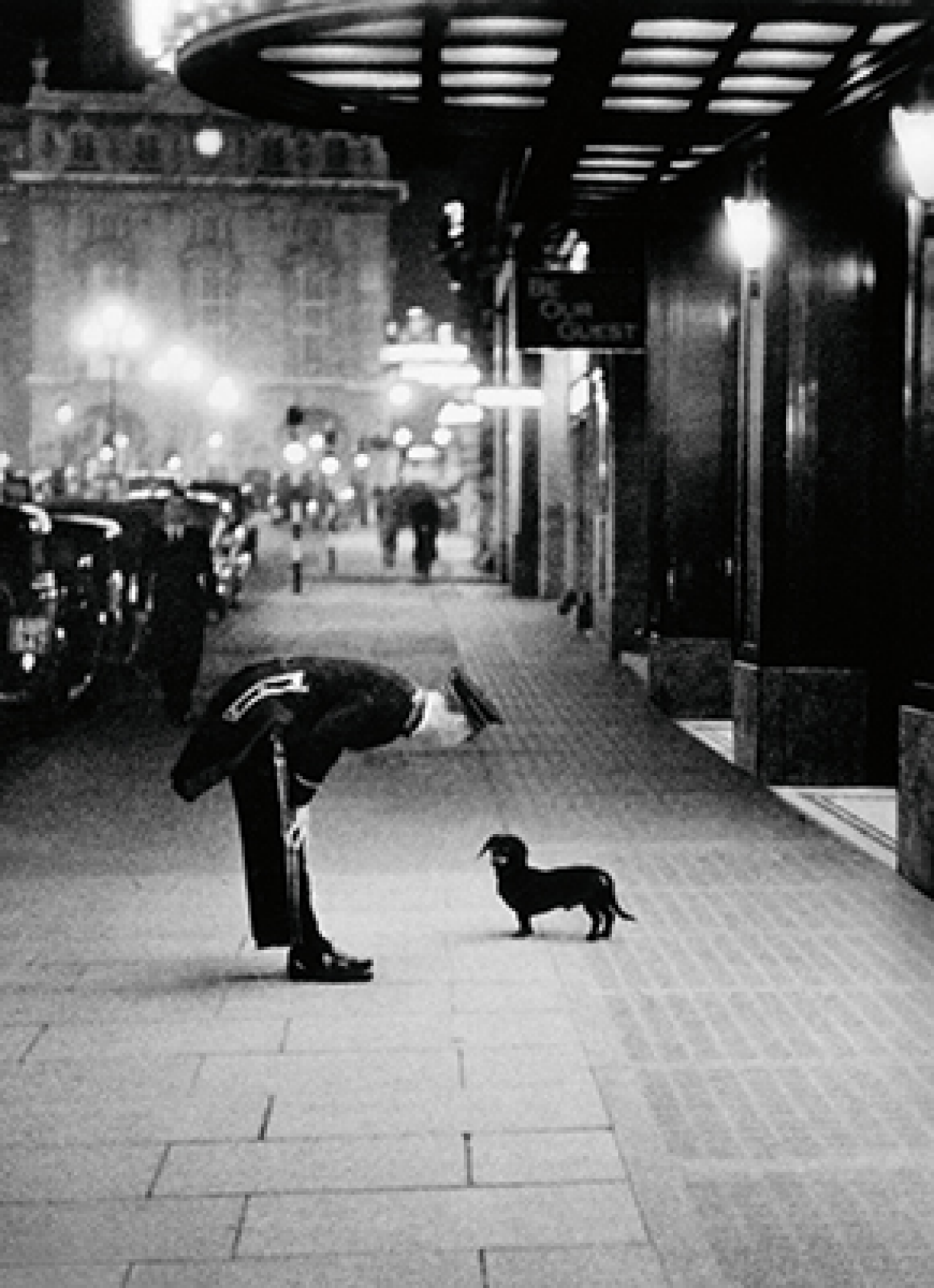 slide 1 of 1, Avanti Card Pet Hotel Dog, 1 ct