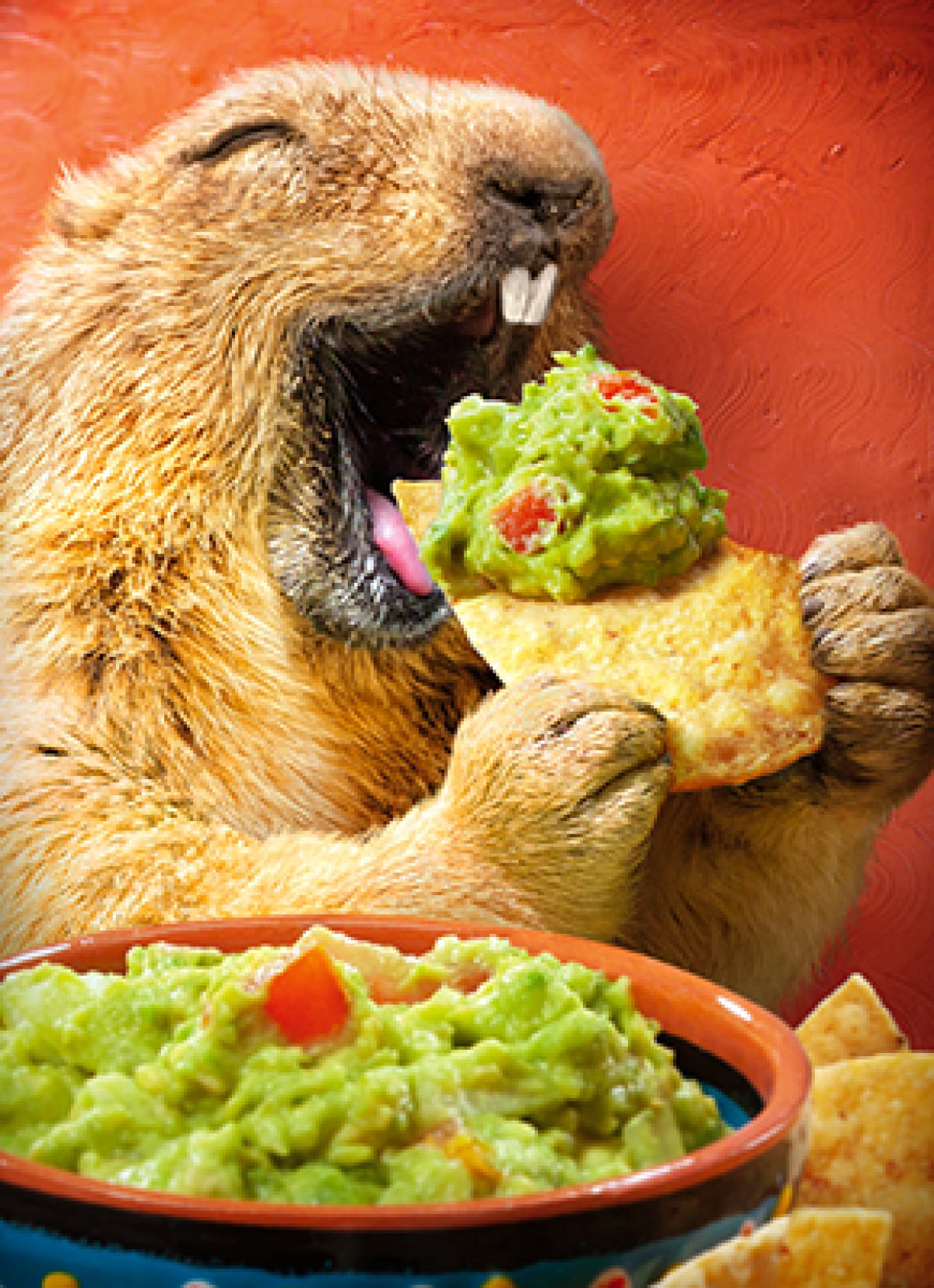 slide 1 of 1, Avanti Card Bday Ground Hog Chip Dip Ev, 1 ct