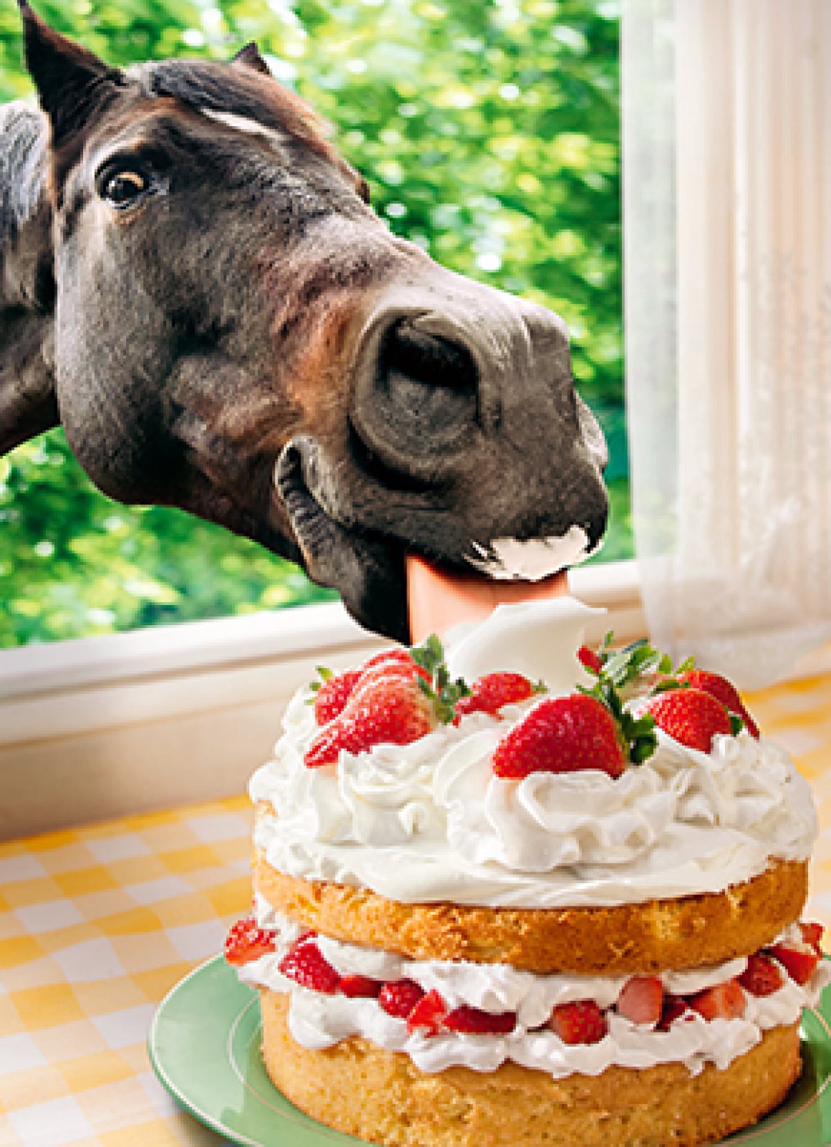 slide 1 of 1, Avanti Card Friend Horse In Window Eatin, 1 ct