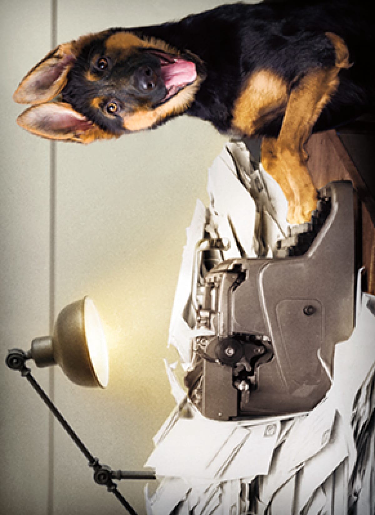 slide 1 of 1, Avanti Thank You Card Dog At Typewriter, 1 ct