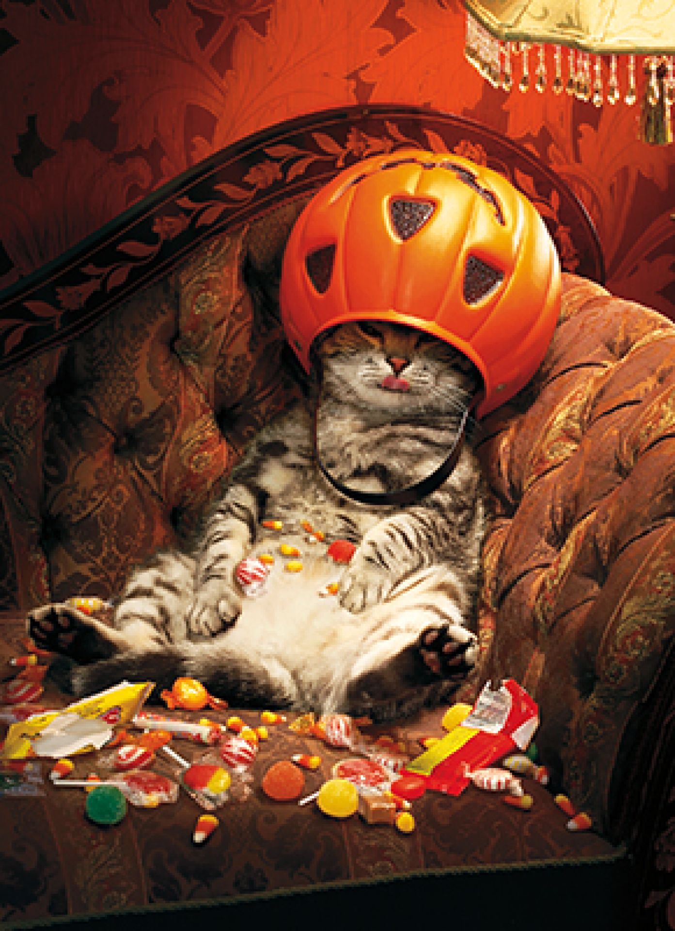 slide 1 of 1, Avanti Candy Bucket Under Cat, 1 ct