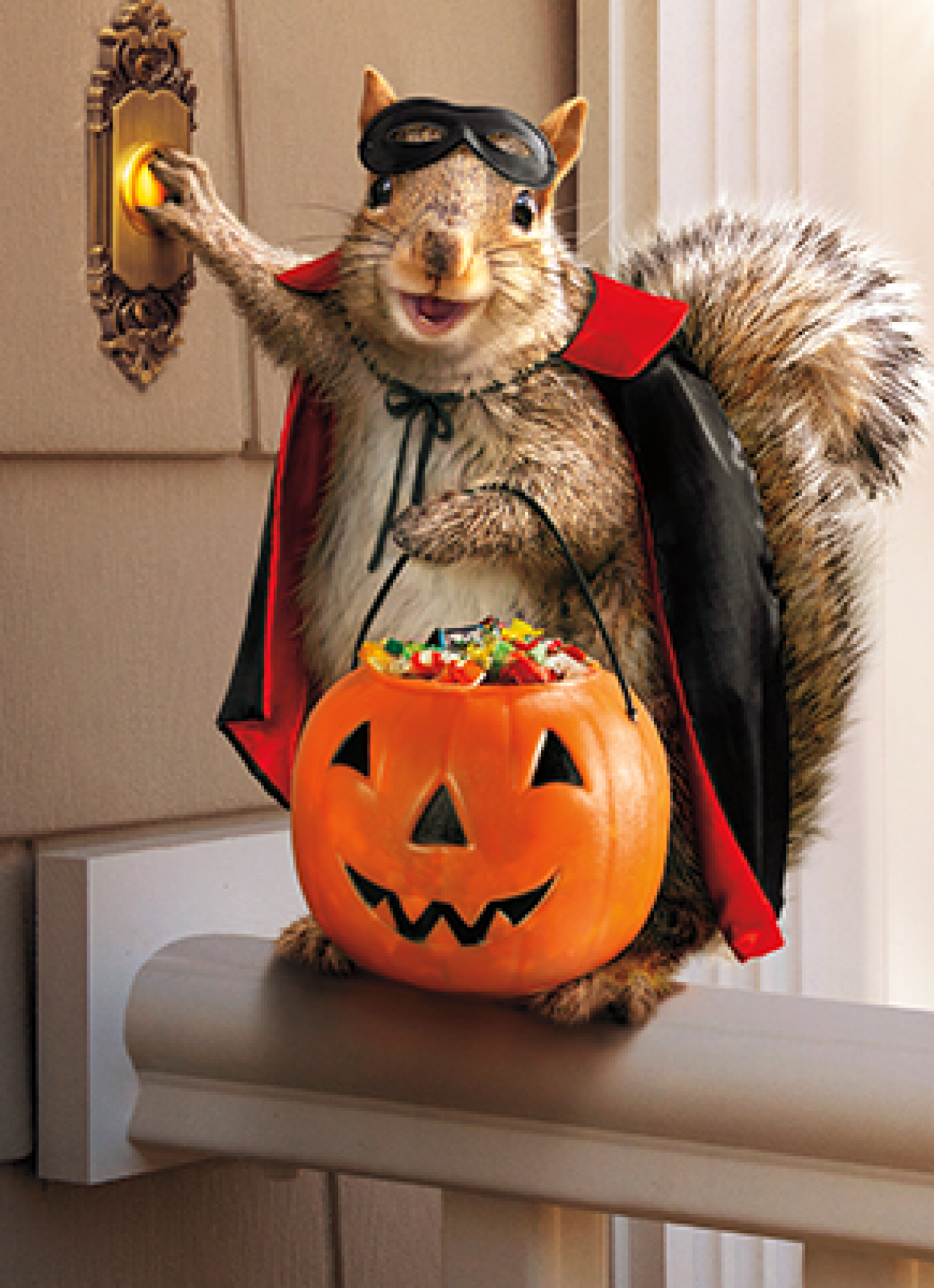 slide 1 of 1, Avanti Trick Or Treat Squirrel, 1 ct
