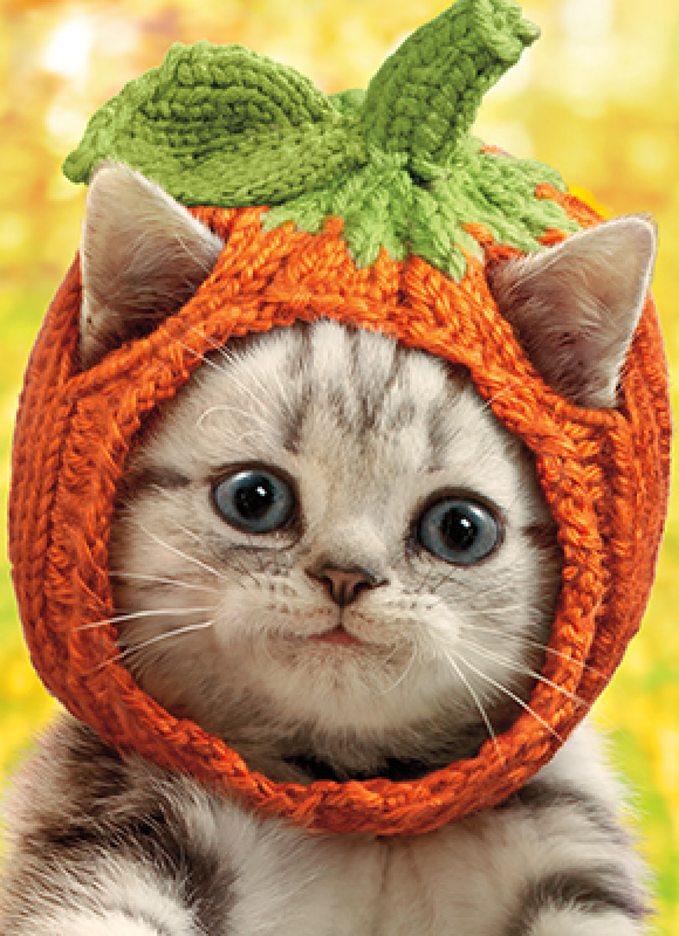 slide 1 of 1, Avanti Pumpkin Hat Kitten Knit, 1 ct