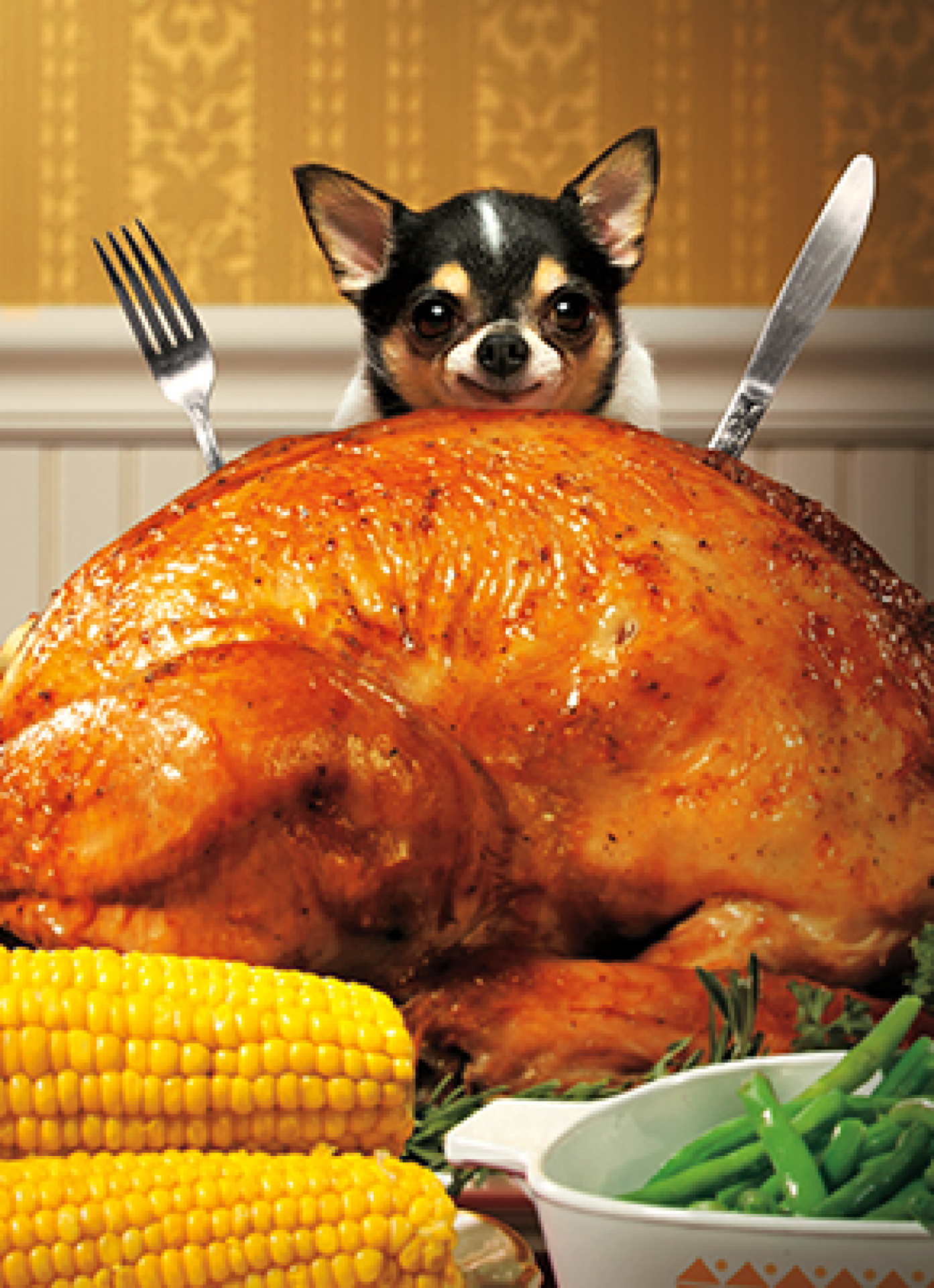 slide 1 of 1, Avanti Card Thnk Little Dog Bhd Bg Turky, 1 ct