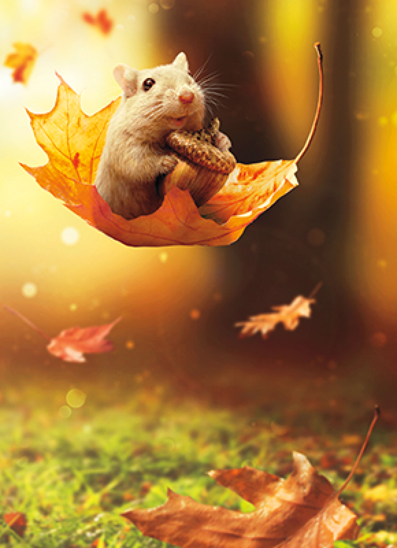 slide 1 of 1, Avanti Big Leaf On Mouse, 1 ct