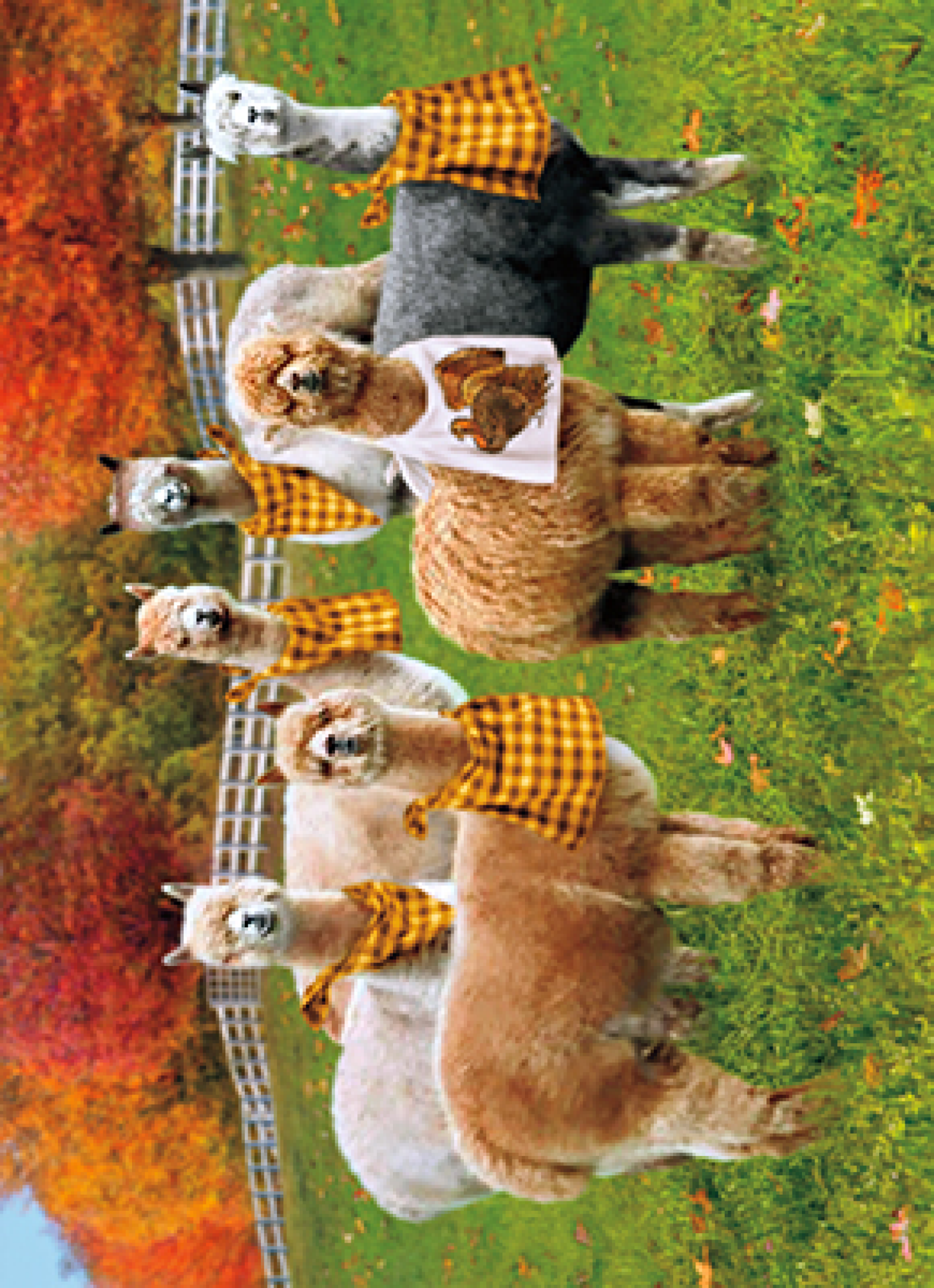 slide 1 of 1, Avanti Card Thnk Alpacas With Napkins, 1 ct