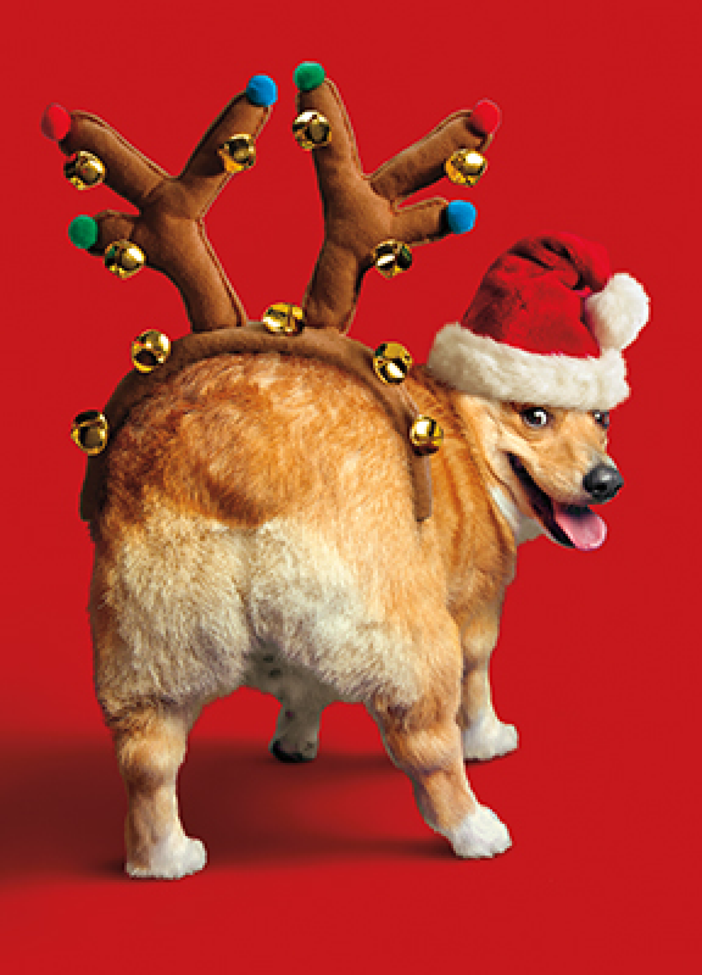 slide 1 of 1, Avanti Card Christmas Dog Reindeer Butt, 1 ct