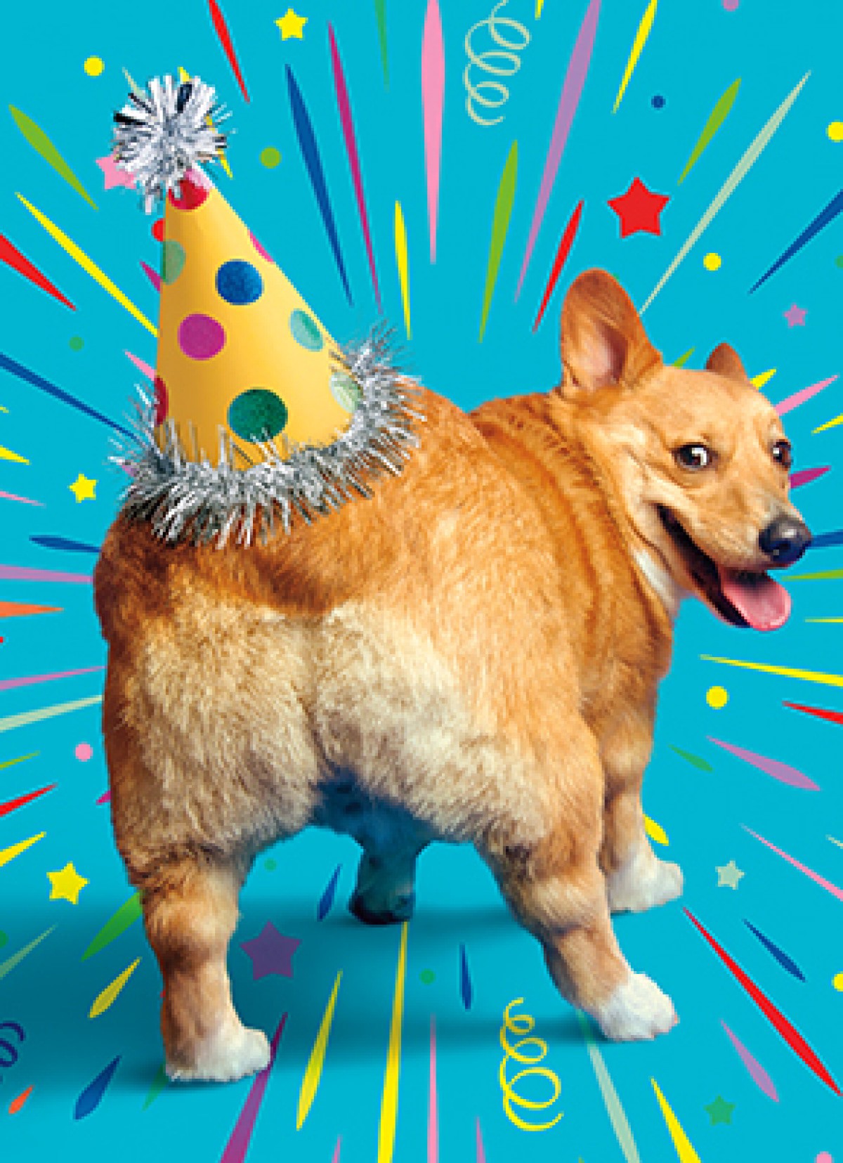 slide 1 of 1, Avanti Card Bday Corgi Butt Bday Hat Emb, 1 ct