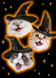 Avanti Press, I Floating Witch Cats