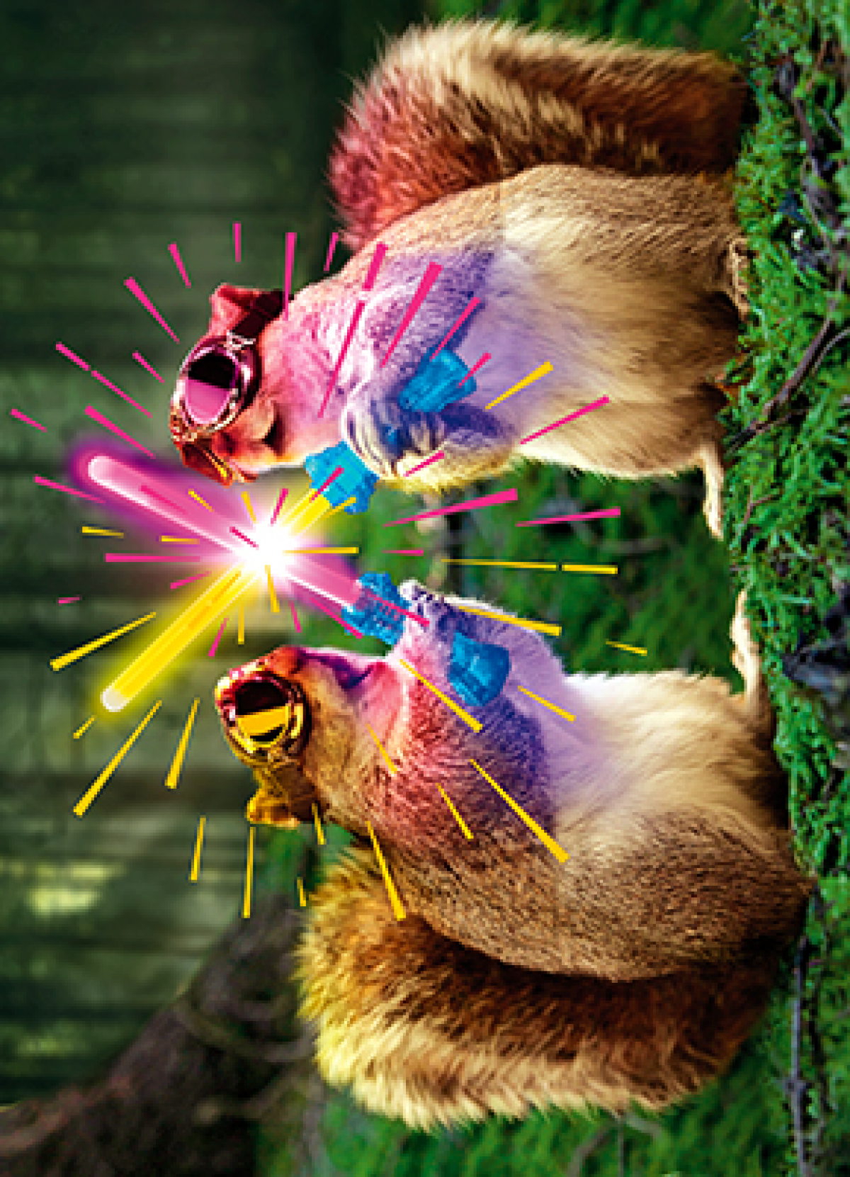 slide 1 of 1, Avanti Card Bday Squirrels With Glow Sti, 1 ct