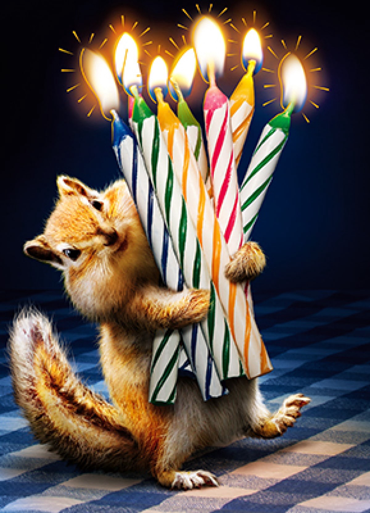 slide 1 of 1, Avanti Card Bday Chipmunk Birthday Cande, 1 ct