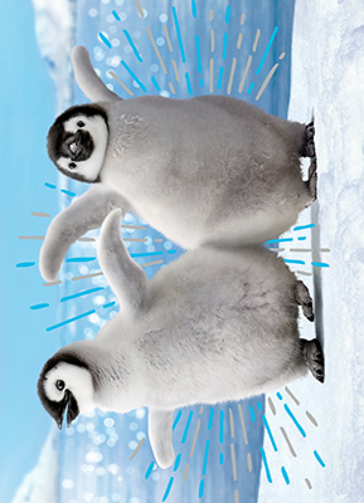 slide 1 of 1, Avanti Card Bday Penguins Dancing Bump E, 1 ct