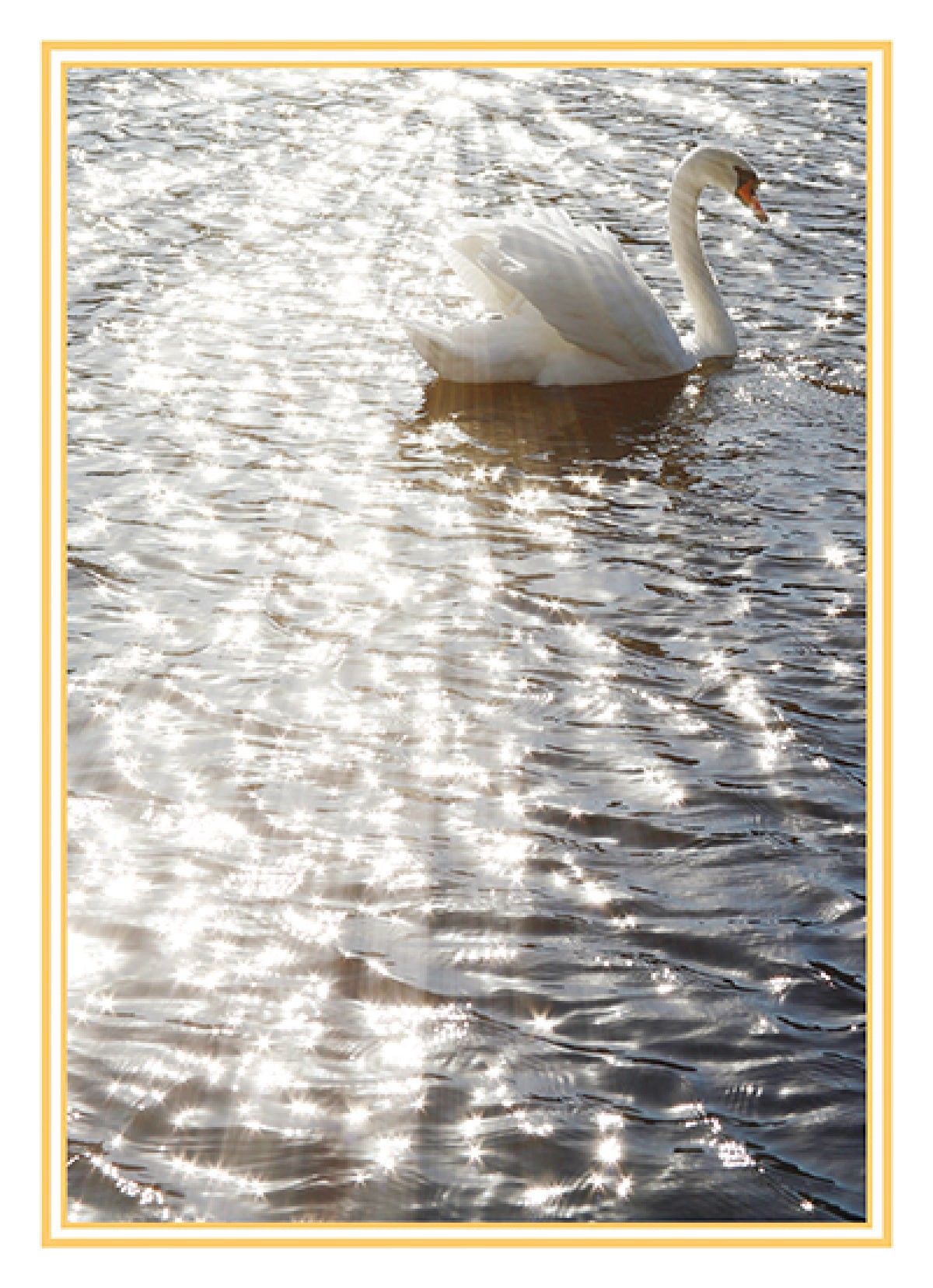 slide 1 of 1, Avanti Card Sympathy Swan In Sunlight E, 1 ct