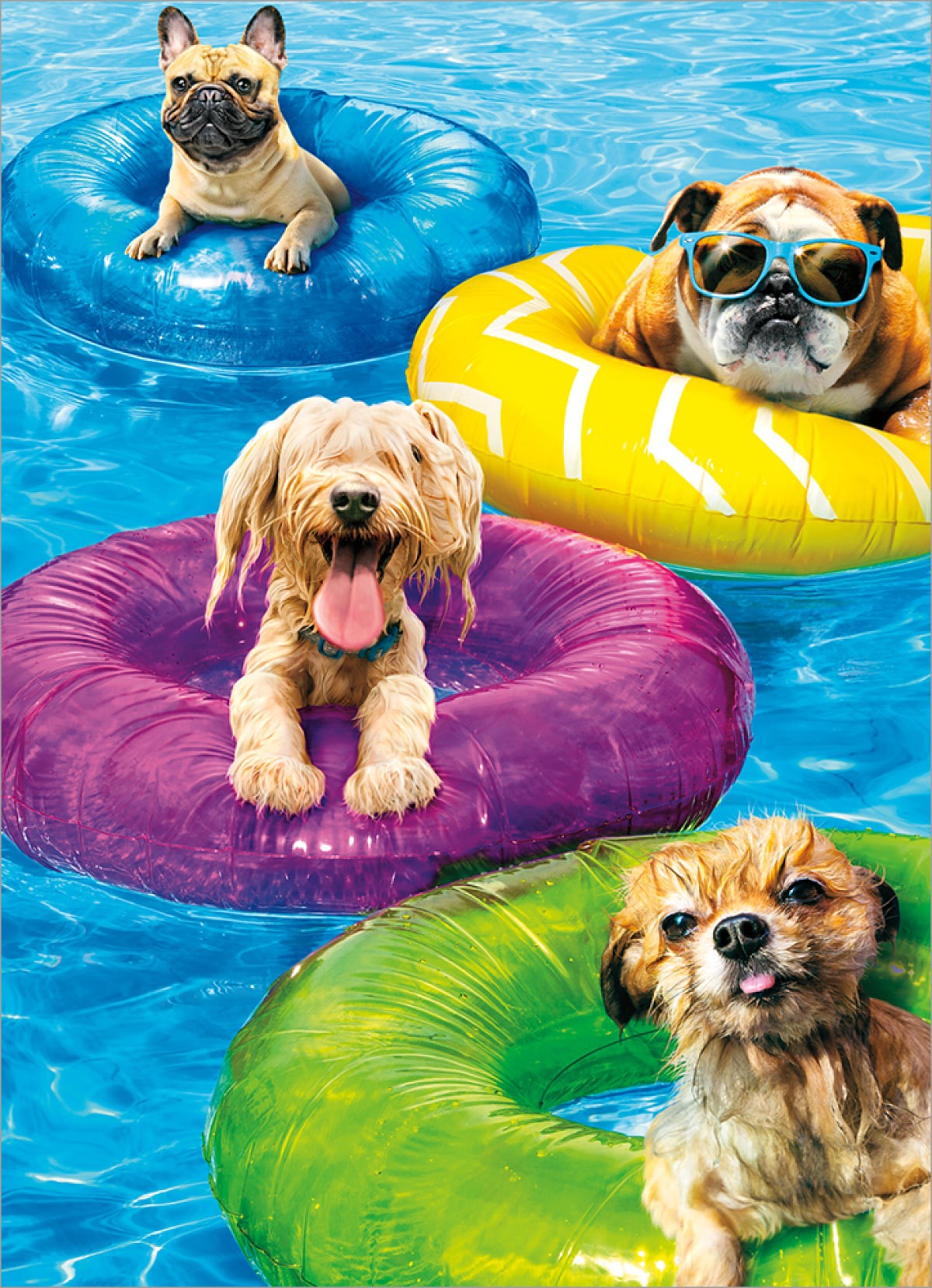 slide 1 of 1, Avanti Card Bday Dog Pool Party, 1 ct