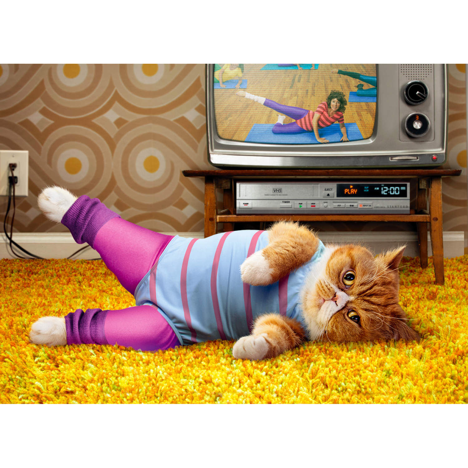 slide 1 of 1, Avanti Card Bday Cat Exercising Lent, 1 ct