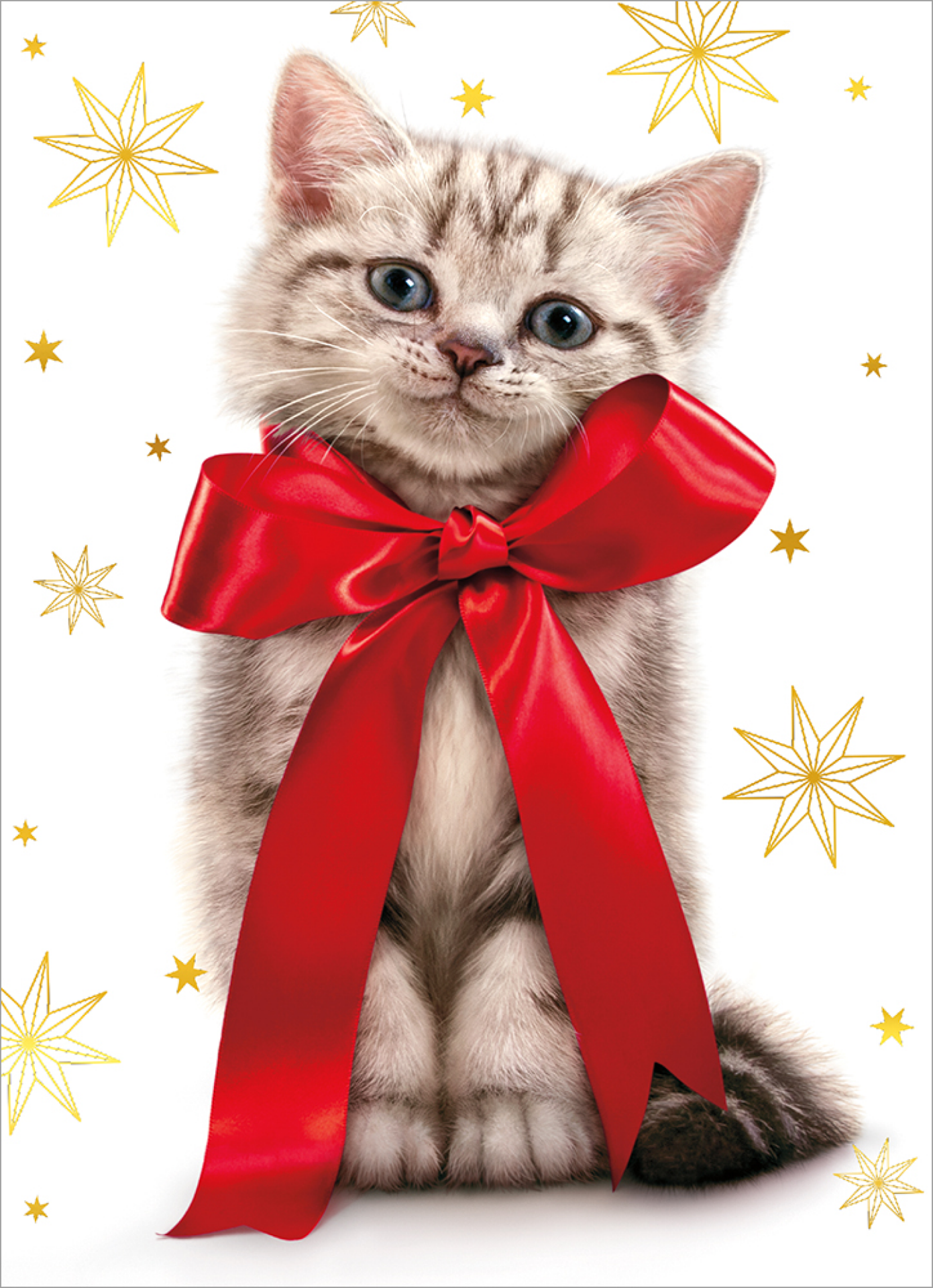 slide 1 of 1, Avanti Press, I Cat With Big Christmas Bow-Non, 1 ct