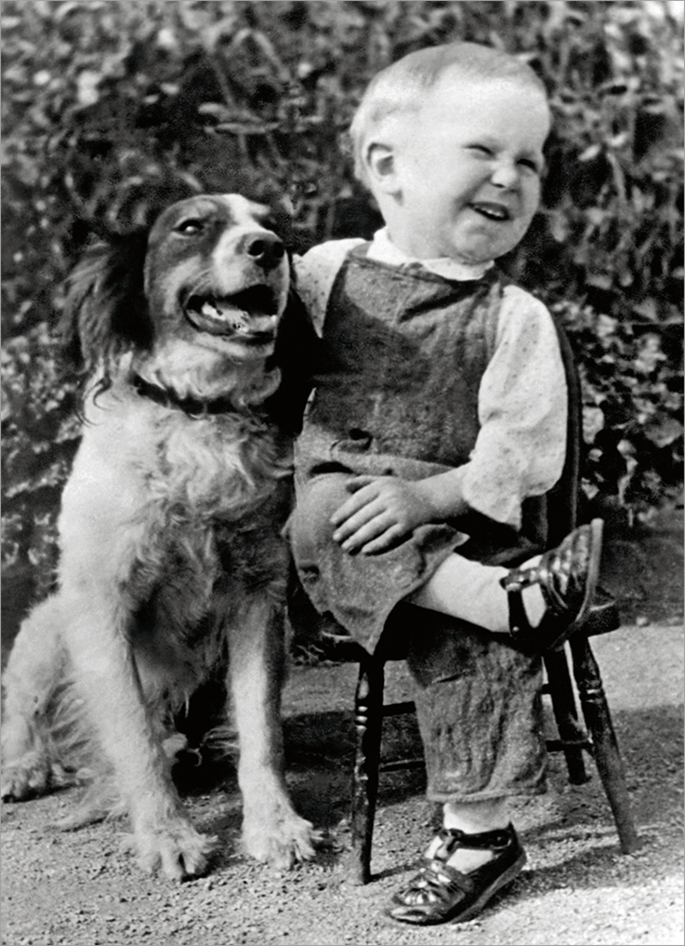 slide 1 of 1, Avanti Card Bday Little Boy And Dog Smil, 1 ct