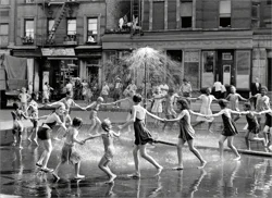 Avanti Card Bday Fancy Bubble Gum Cat Co