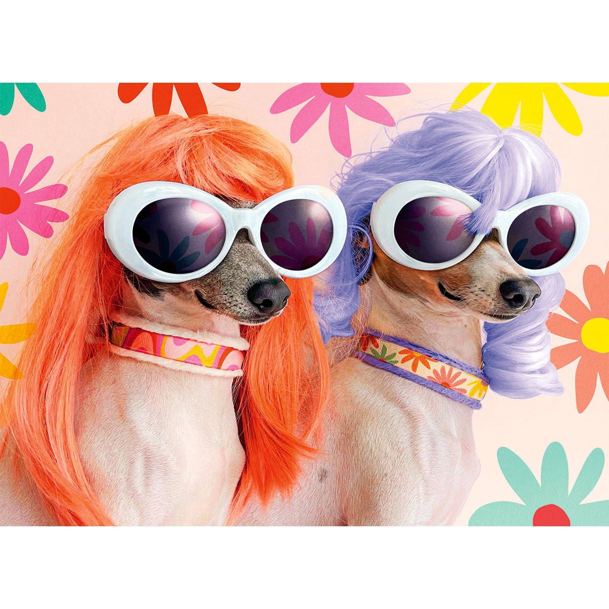 slide 1 of 1, Avanti Two Dogs Wearing Wigs Card, 1 ct