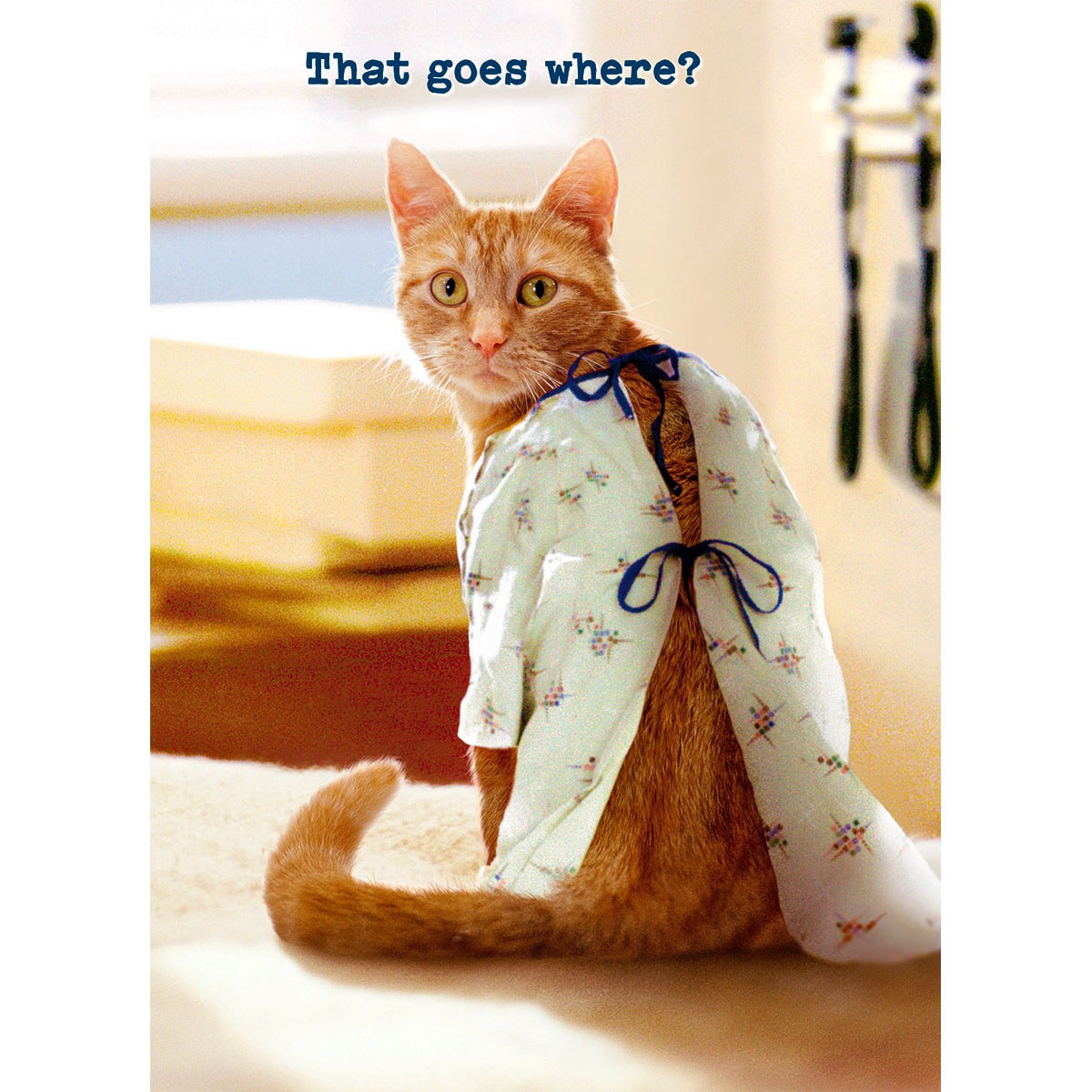 slide 1 of 1, Avanti Card Get Well Cat Hospital Gown, 1 ct