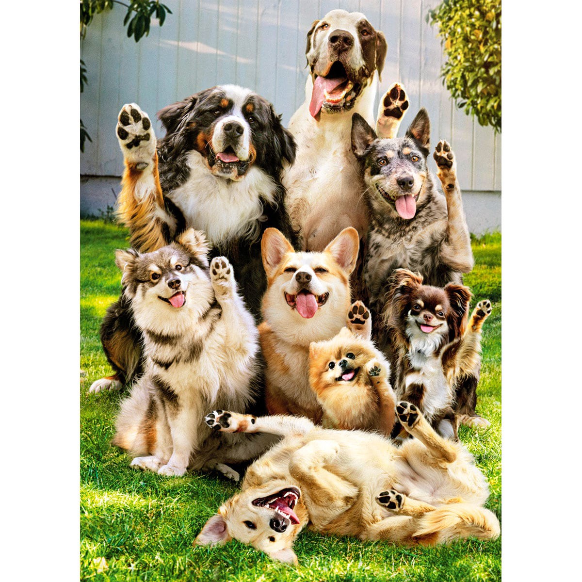 slide 1 of 1, Avanti Card Bday Dogs Waving Goodbye, 1 ct