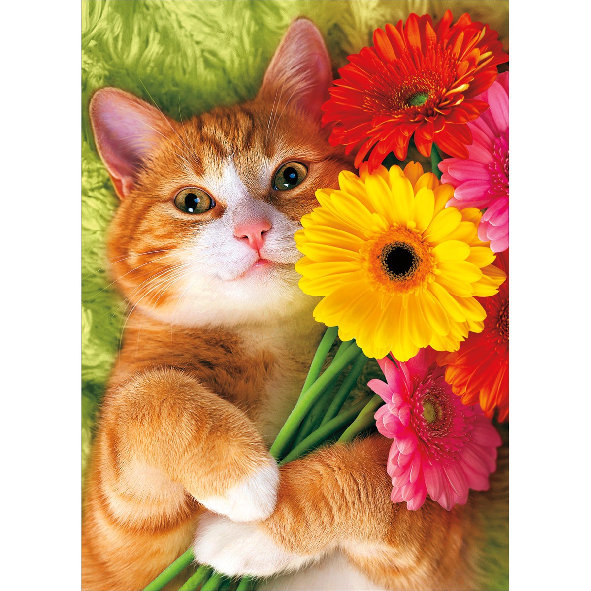 slide 1 of 1, Avanti Card Moms Cat Holding Flower Bouq, 1 ct