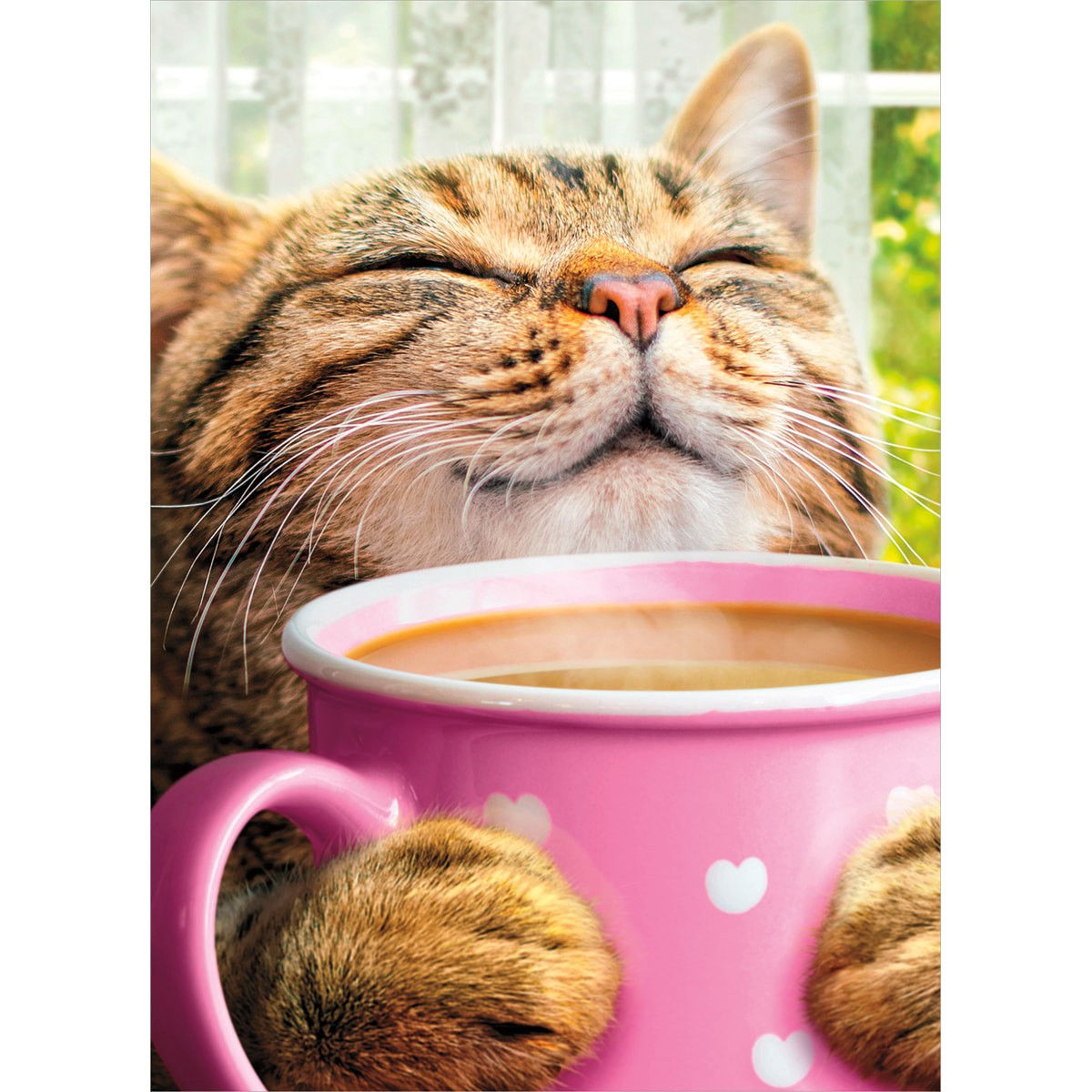 slide 1 of 1, Avanti Card Moms Cat Drinking Coffee, 1 ct