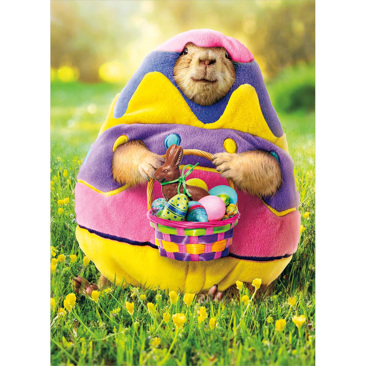 slide 1 of 1, Avanti Card Easter Prairie Dog In Easter, 1 ct
