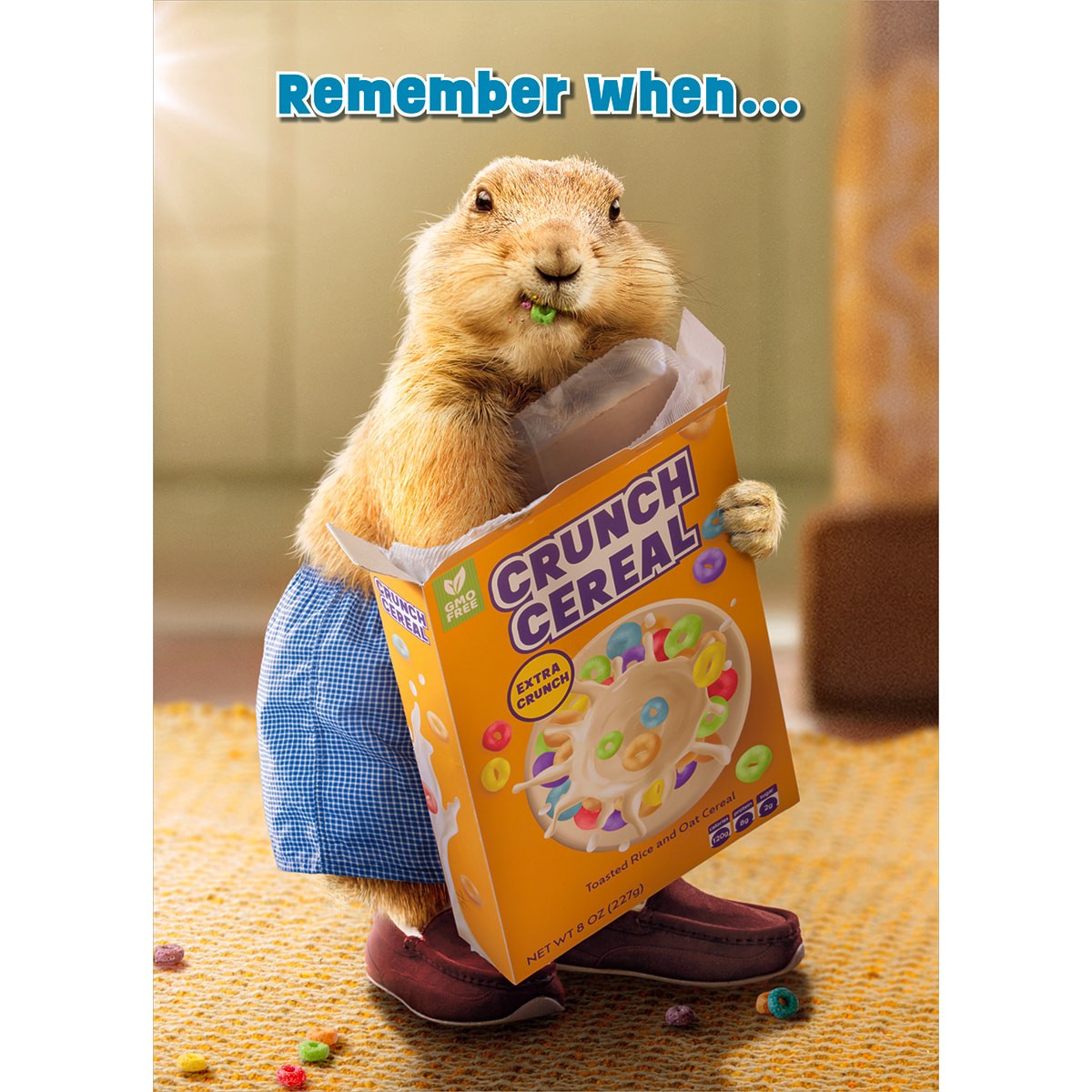 slide 1 of 1, Avanti Card Bday Groundhog Cereal Box, 1 ct