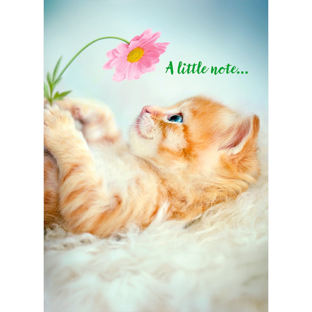 slide 1 of 1, Avanti Card Thanks Kitten Holding Flower, 1 ct