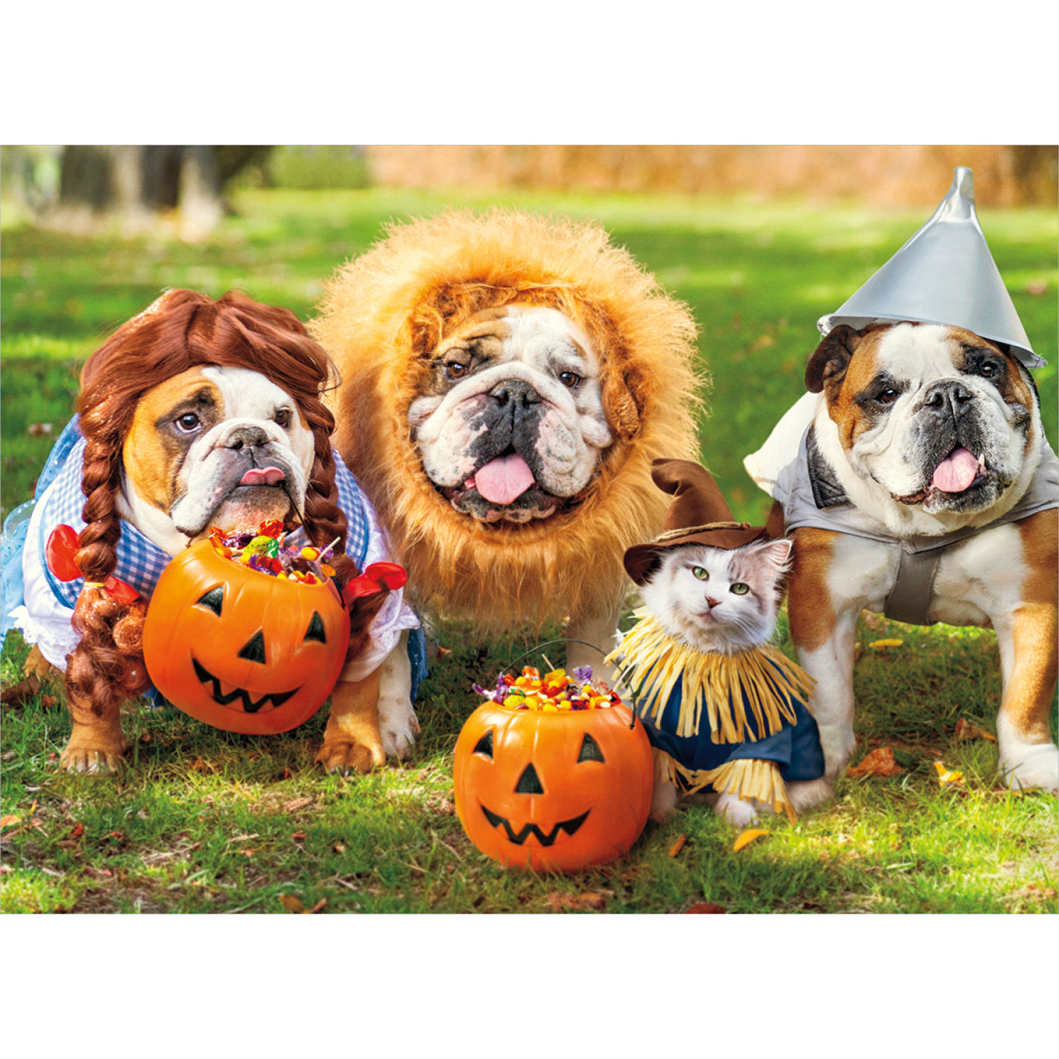 slide 1 of 1, Avanti Halloween Greeting Card. Three Bulldogs in Costume, 1 ct